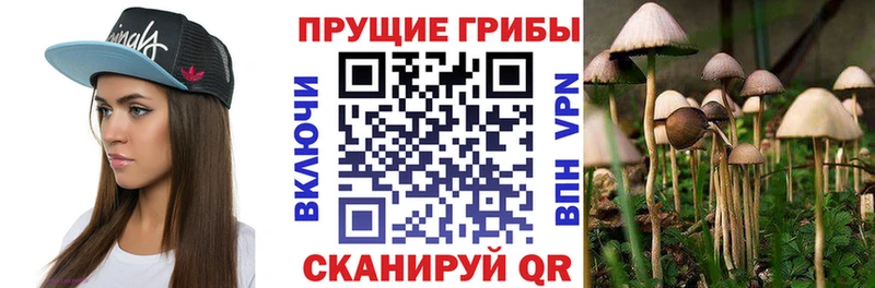 Псилоцибиновые грибы MAGIC MUSHROOMS  Кадников 